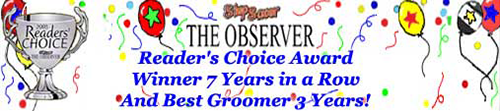 Stepsaver/Observer Reader's Choice Award Winner