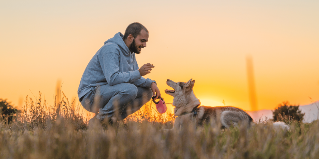 Dog Training