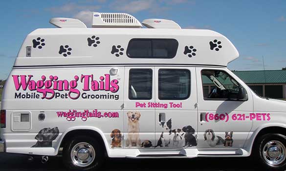 Mobile Grooming | Cheshire, Newington 