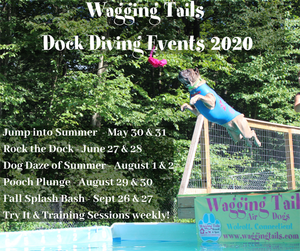 dock diving pool for sale