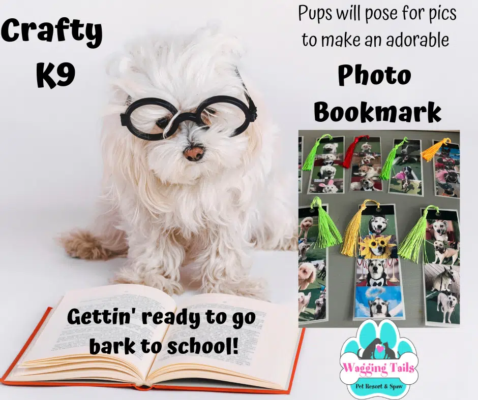 Fluffy dog wearing glasses next to photo bookmarks, promoting Crafty K9 Bark to School photo session at Wagging Tails.